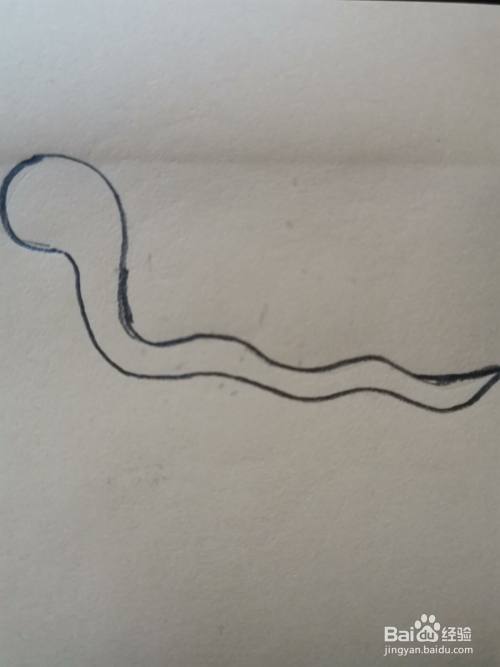 简笔画一条小蛇