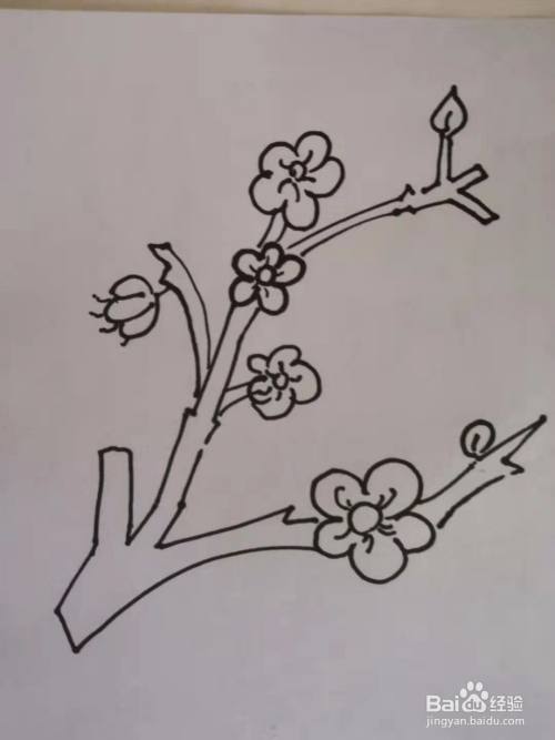 儿童简笔画-梅花树