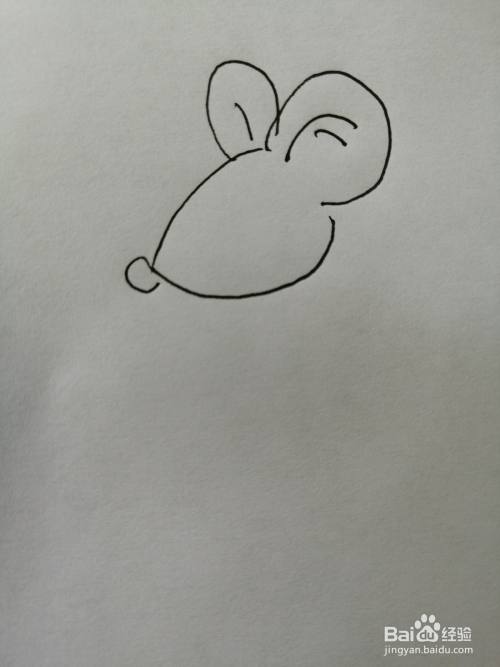 第二步,接着继续画出可爱的小老鼠的椭圆形的小鼻子,画法也比较简单