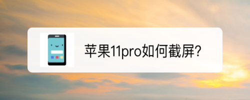 pro 没有实体home键,和之前的苹果手机操作有些不同,其中就包括了截图