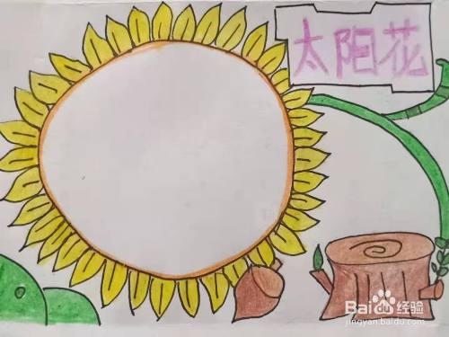 怎样画"太阳花"手抄报?