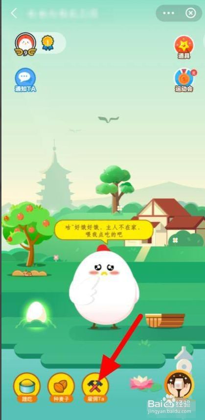 蚂蚁庄园怎么雇佣小鸡