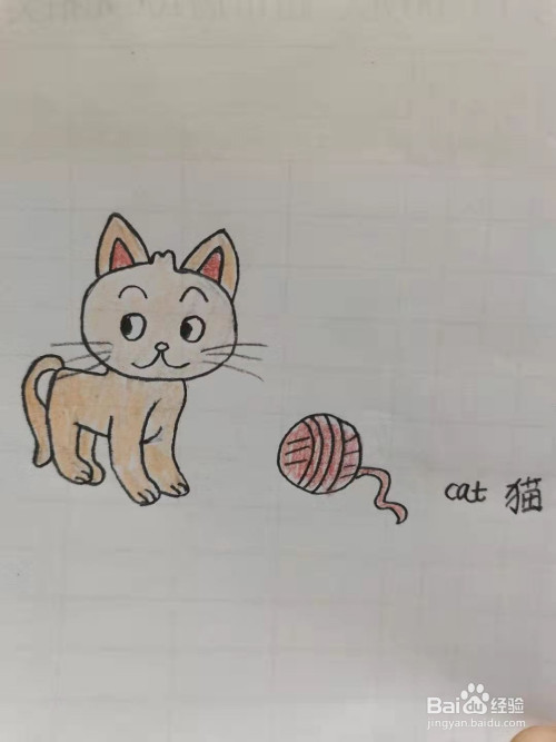 最后,涂上漂亮的颜色,可爱的小猫简笔画,你学会了吗?