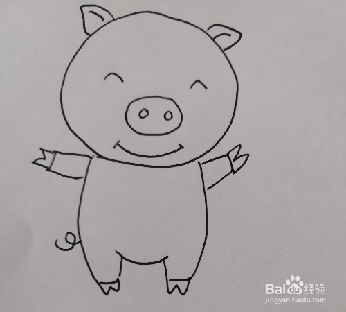 宝宝简笔画:快乐的小猪.