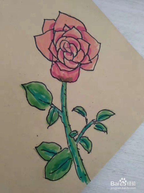 怎么画月季花分步骤