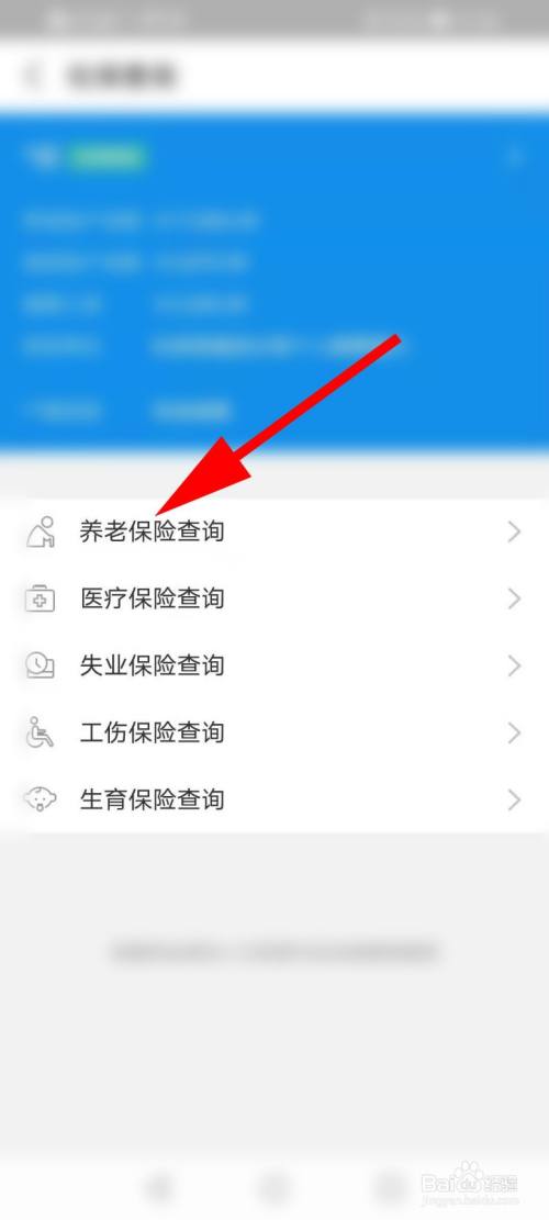 点击【养老保险查询】.