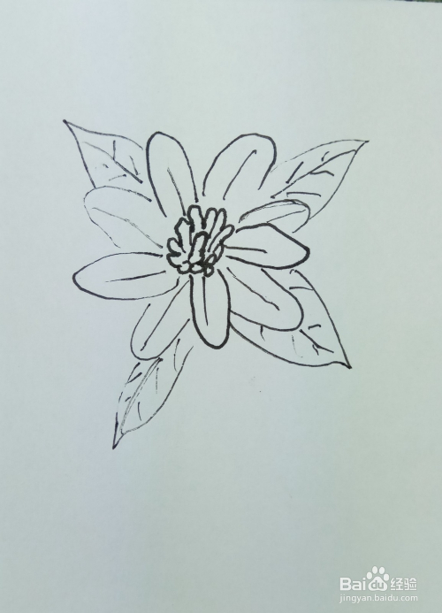 怎样画简笔画"娇艳的花朵"?