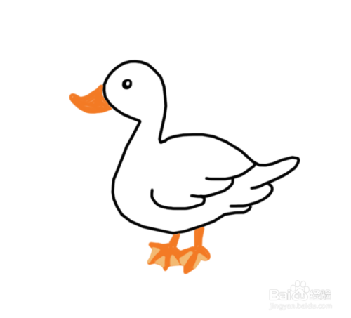 动物简笔画:可爱的小鸭子.