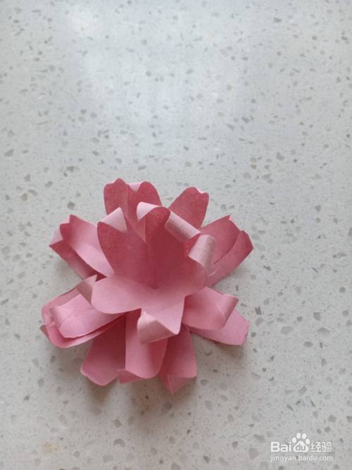 再把它们【粘合成一朵花】.