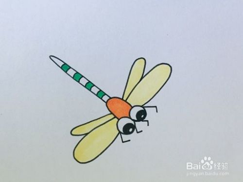 蜻蜓的简笔画教程