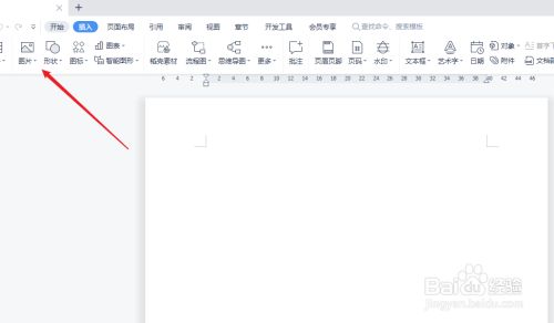 用wps创建空白的word文档,点击插入打印的图片.