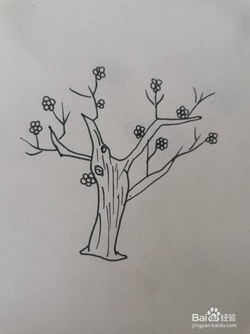 怎么画美丽桃花树