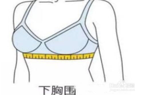 怎样测量胸围确定内衣尺码