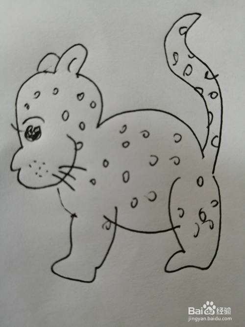 可爱的小豹子怎么画