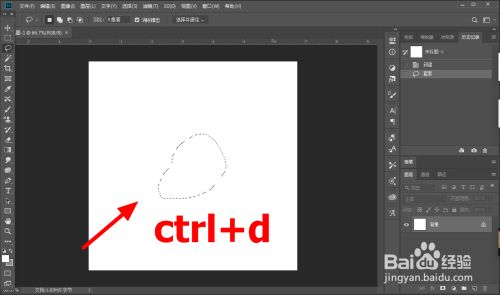 使用套索工具画出选区,ctrl d取消选区,这样套索工具结束成功.