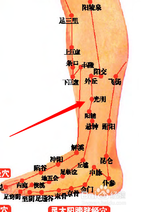 光明穴位位置图和作用