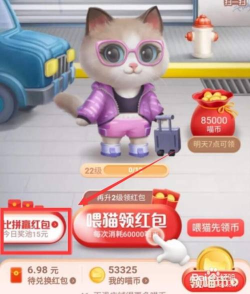 淘宝星秀猫怎么踢人