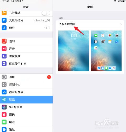 ipad如何设置壁纸