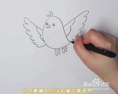 简笔画系列怎么画黄鹂简笔画
