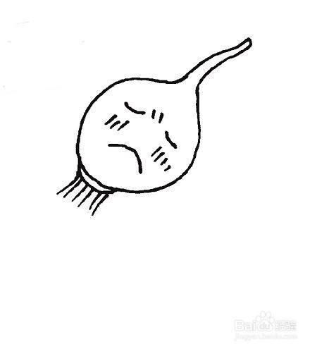 洋葱的简笔画