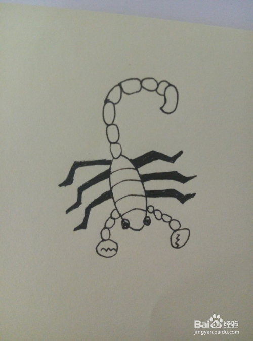 简笔的一只蝎子怎么画