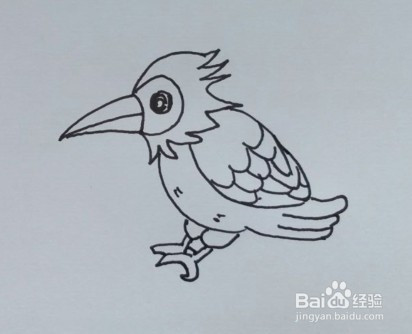 儿童简笔画:如何一步一步画一只啄木鸟