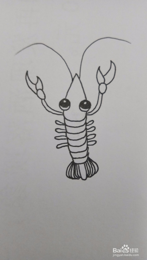 小龙虾简笔画怎么画