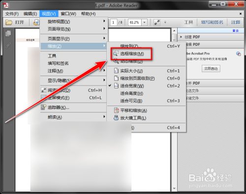 adobe reader xi如何放大选中部分的内容