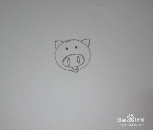 2 首先,画一个圆圈,作为小猪的头(如图); 3 然后画上两个大耳朵(如图