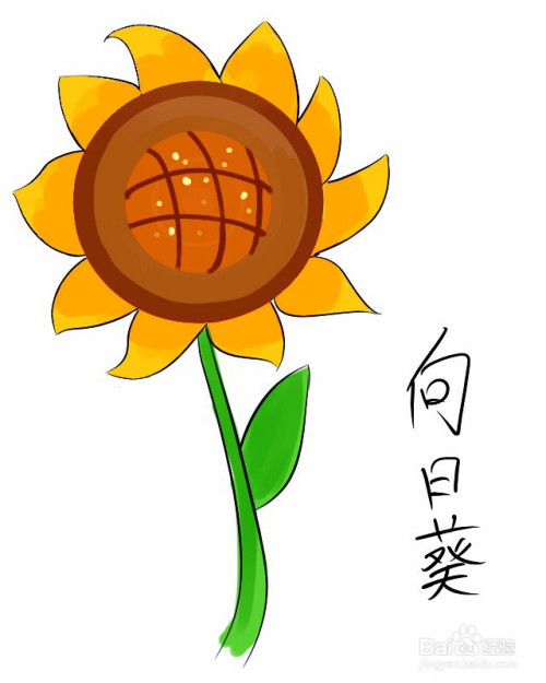 现在很流行简笔画,今天我们就来学习一下彩色向日葵的绘画过程吧.