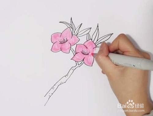 美丽的桃花怎么画