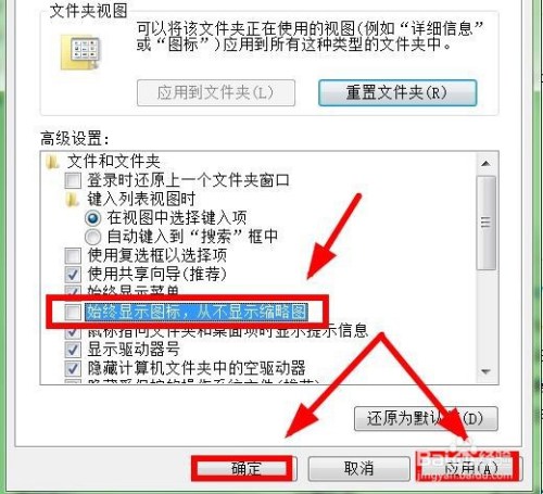 电脑软件6 在【高级设置】窗口,点击勾选【始终显示图标,从不显示