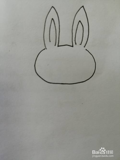 第二步,接着继续画出可爱的小兔子的椭圆形的头,头部画法也比较简单