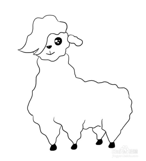 怎么画一只羊驼的简笔画