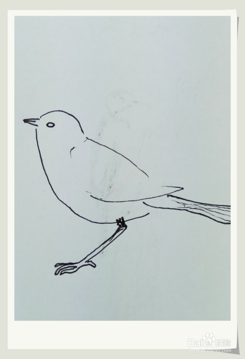 怎样画简笔画"可爱的小麻雀"?
