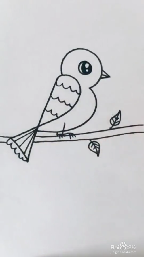 鸟的简笔画怎么画?