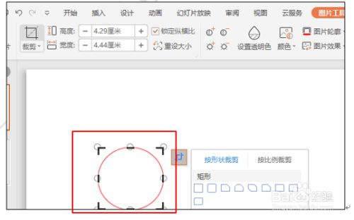 然后删除原来的圆形,选择图片式的圆形,点击裁剪,图片的四围会出现