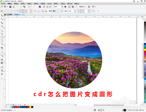 cdr怎么把图片变成圆形