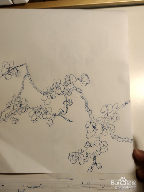 白描折枝梅花的画法