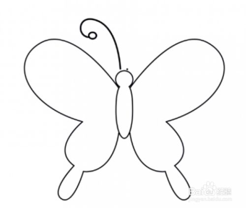 如何画一只美丽的蝴蝶?
