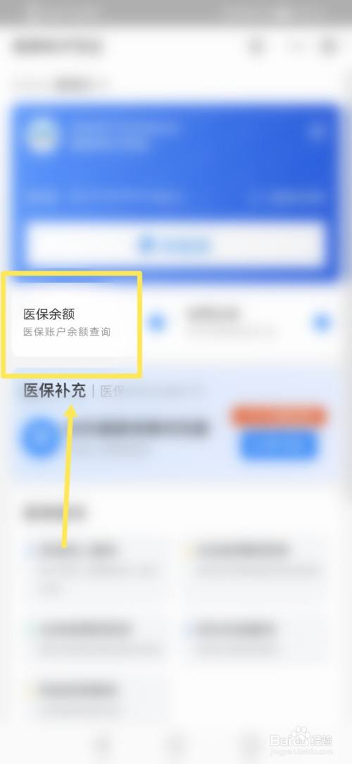 进入之后,我们就可以点击余额查询,进行查看医保卡中的余额了.