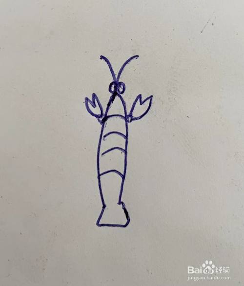 如何画虾的简笔画?
