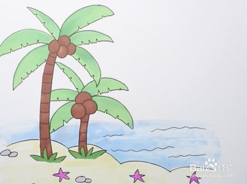 如何画椰子树植物
