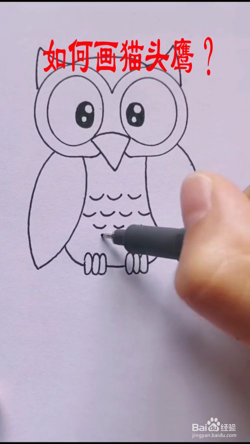 如何画猫头鹰?