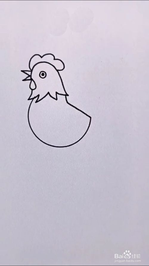 如何画公鸡?