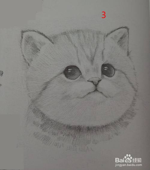 素描画——猫的画法