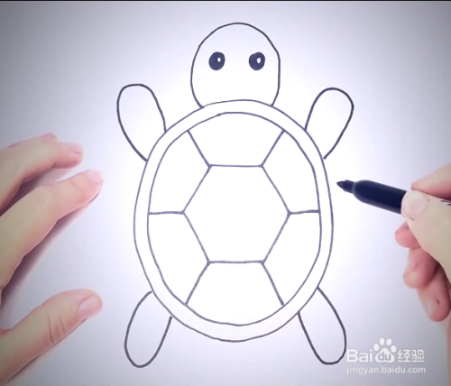 小编教大家怎么画出一只可爱的小乌龟 工具/原料 纸 笔 方法/步骤 1