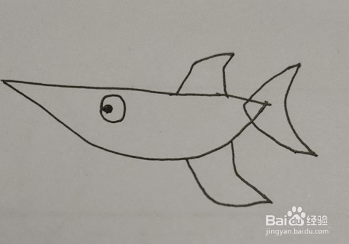 先在a4纸上,画上鲨鱼的身体 2.在鲨鱼身体的右边,上下方画上鲨鱼翅 3.