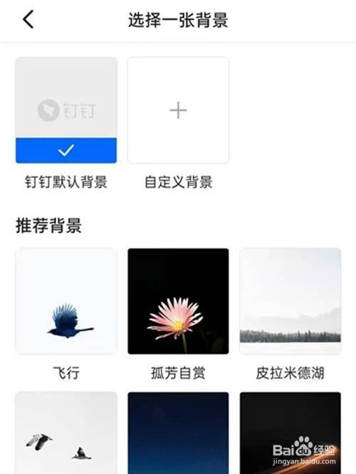 钉钉如何自定义聊天背景图-百度经验