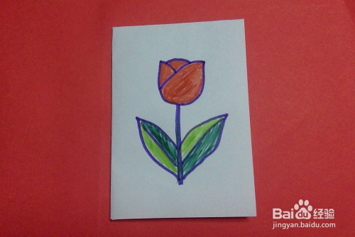 儿童画怎样画郁金香的画法儿童绘画启蒙学画花朵